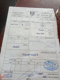 عرصه • حي معلمين النداء • ١٠٠م