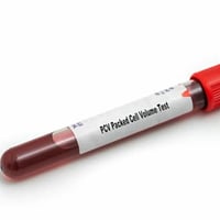 بمناسبه ذكرى استشهاد:     الامام موسى ابن جعفر (عليه السلام)  يعلن مخت...