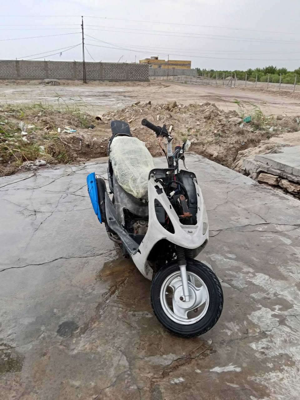 البيغ     اسعر خاص 783 234 7387
