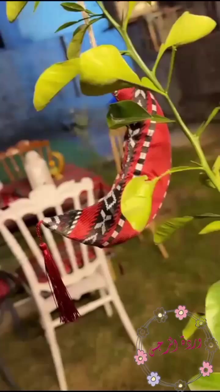 مساء الخير بنوتات
 حبايب راح انزللكم كم صورة الشغلي وتحب تابعني اشرف بالكل حبايب 🥹 ♥️
اي شي تحبون فرشات  للعيد
كوشات رمضانية 🌙 ✨
#خياطه_حسب_الطلب ✂️ 🧵 🪡 
#توصيل_بغداد_ولجميع_المحافظات


**إذا كنت صاحب هذا الإعلان وتريد حذفه لأي سبب، رجاءا أرسل رسالة إلى الدعم الفني**