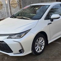 كورله ساس تفاصيل اتصال 07811556692