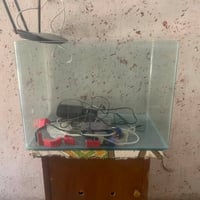 حوض • حوض سمك • حوض للبيع • اغراض حوض سمك • مستلزمات حوض سمك • اكسسوار...