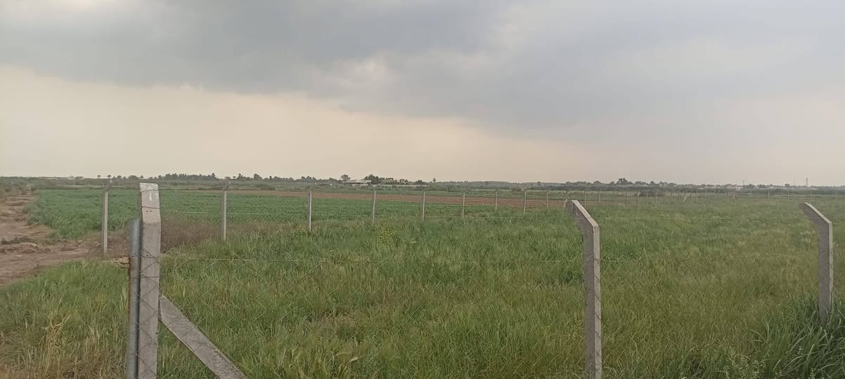 السلام عليكم ورحمة الله وبركاته
يوجد دونمين الئ ربع طابو زراعي سند 25يتحول باسم المشتري الارض مسيجه المدائن سلمان باك الجعاره بشارع الكامرات شارع المزارع مخدومه بتبليط وكهرباء قريبه عليها وبسعر مناسب للستفسار اكثر التواصل علئ الرقم التالي
*********** او اتصال واتساب
