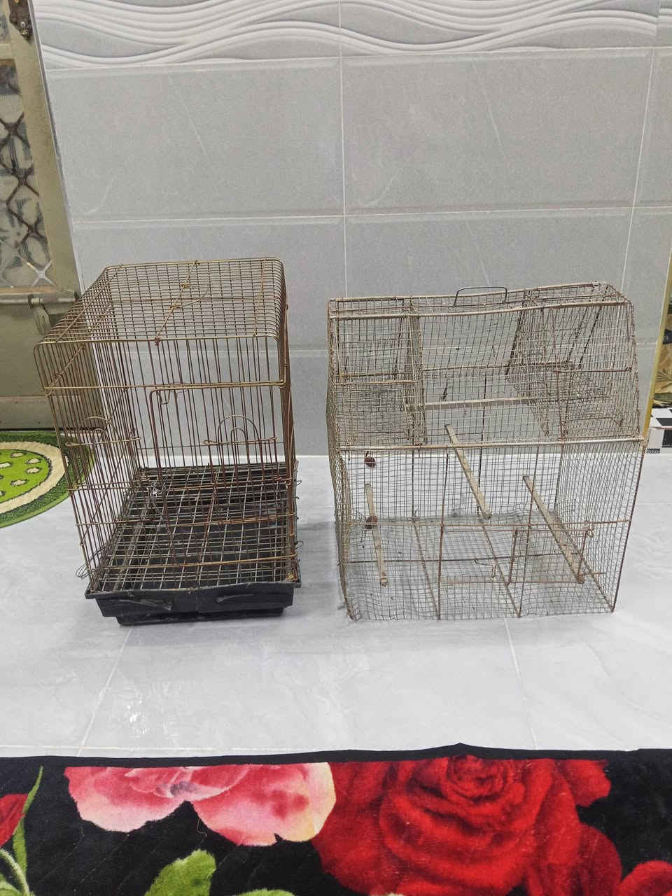 سلام عليكم متاح قفص صيادة وقفص بغبغاء السعر 20 (***********)
