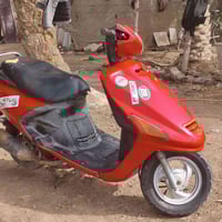 فراشة • نثيه • بلا سلف