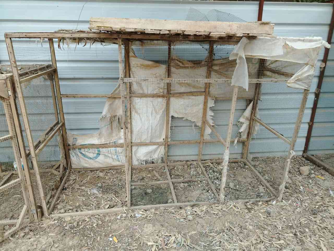 متوفر ٤ اقفاص هل كوم للدكلي شبيهن مابيهن خشب نضيف بس يحتاجلهن ترتيب ب٤٠
مكان طارميه
***********
