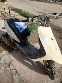 عصفوري • نضيفه • مكينه شرط