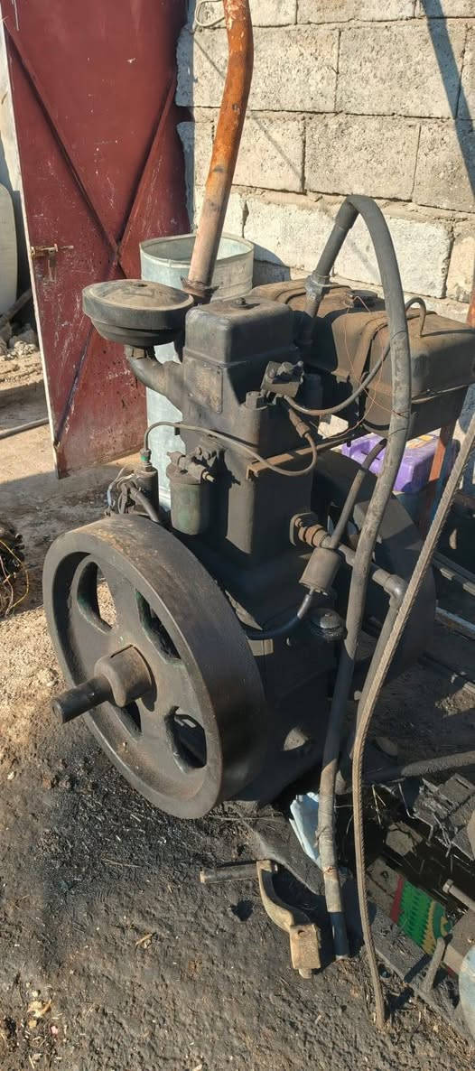 مولد هندي فلاوينين حجم 16راس توليد 15 المكان ديالى القالبيه ***********
