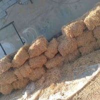 تبن للبيع 50 كبسة لكبسة على 2000#07717126187