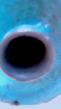 شاصي أرشا • تعمير رياضي • أوراق جديدة