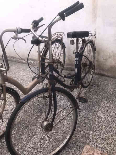 السلام عليكم بيسكلات للبيع اريدهن ب110 المكان البصرة كرمة علي الاتصال ***********
