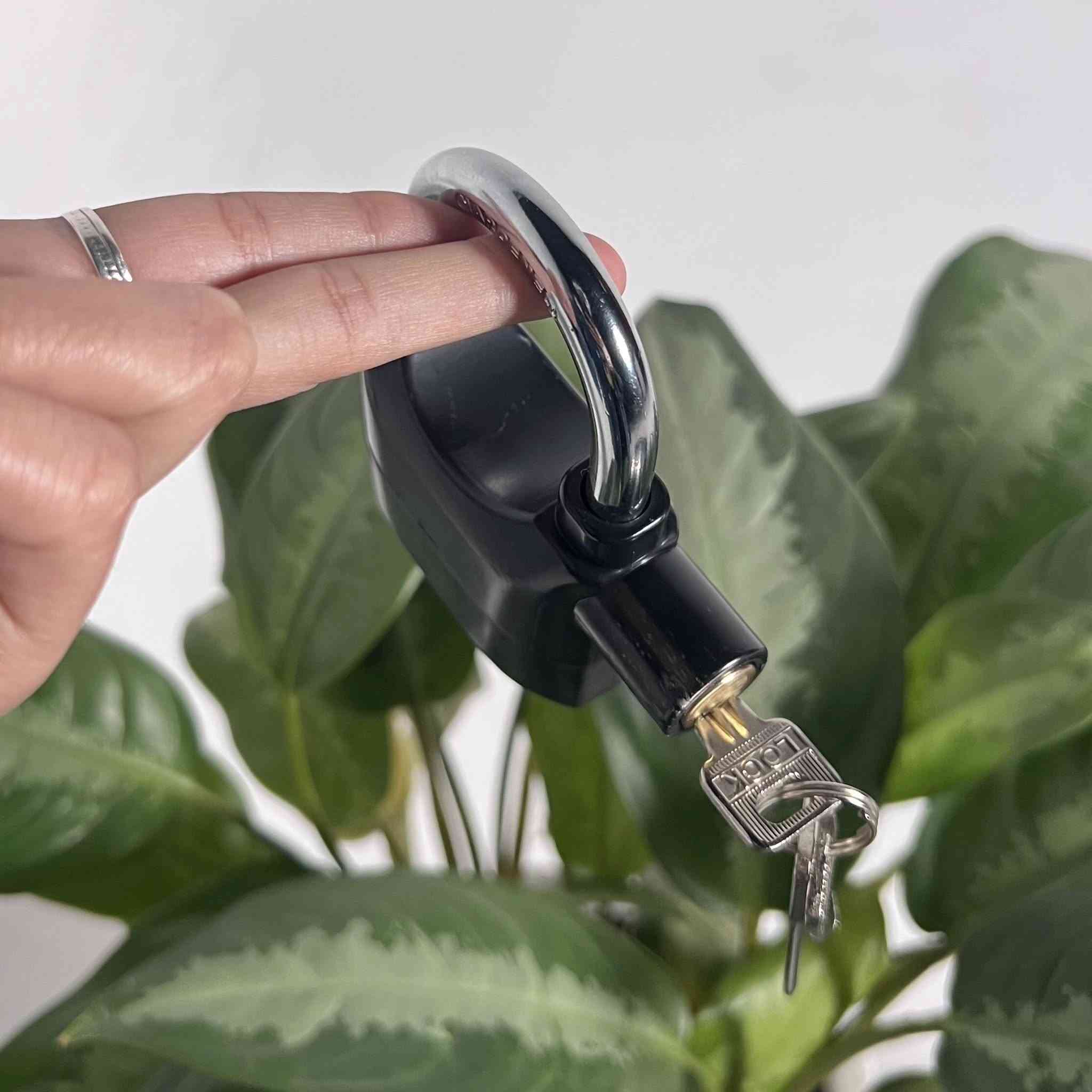 قفل انذار متعدد الاستخدامات 

6 الف


**إذا كنت صاحب هذا الإعلان وتريد حذفه لأي سبب، رجاءا أرسل رسالة إلى الدعم الفني**