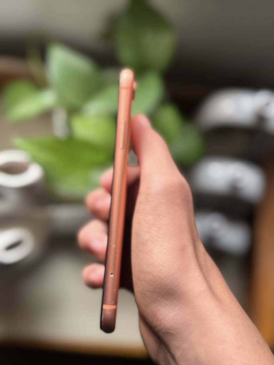 ايفون اكس ار للبيع اكو مراوس كركوك


**إذا كنت صاحب هذا الإعلان وتريد حذفه لأي سبب، رجاءا أرسل رسالة إلى الدعم الفني**