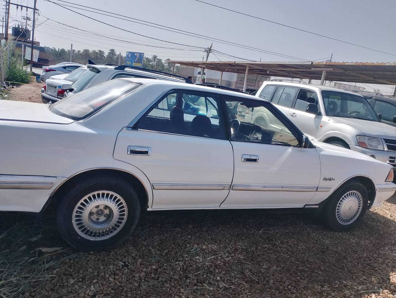 هارتوب موديل 91 رقم نجف مكينه وكير مكفوله حداديه نص ونص مكفوله من الكلبه ومكفوله من الكص سعر 30 وبيه مجال رقم تليفون ***********
