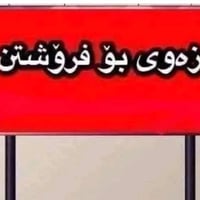 گازینۆی ئازادی • زەوی • ٨٠م