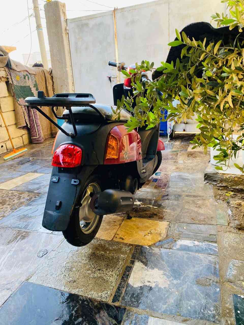 بوليسي 2009نظيفه نقص وجه امامي شلعه معدل خير من الله مكفوله نگره سلف بكل وكت 

كربلاء  طويريج
***********
