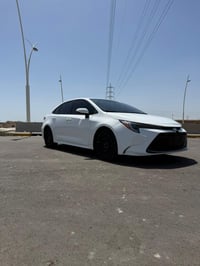 كورله هايبرد رقم بغداد  مديل ٢٤ ماشيه ٣٠ الفئه le ضرر جاملغ وبنيد  تحو...