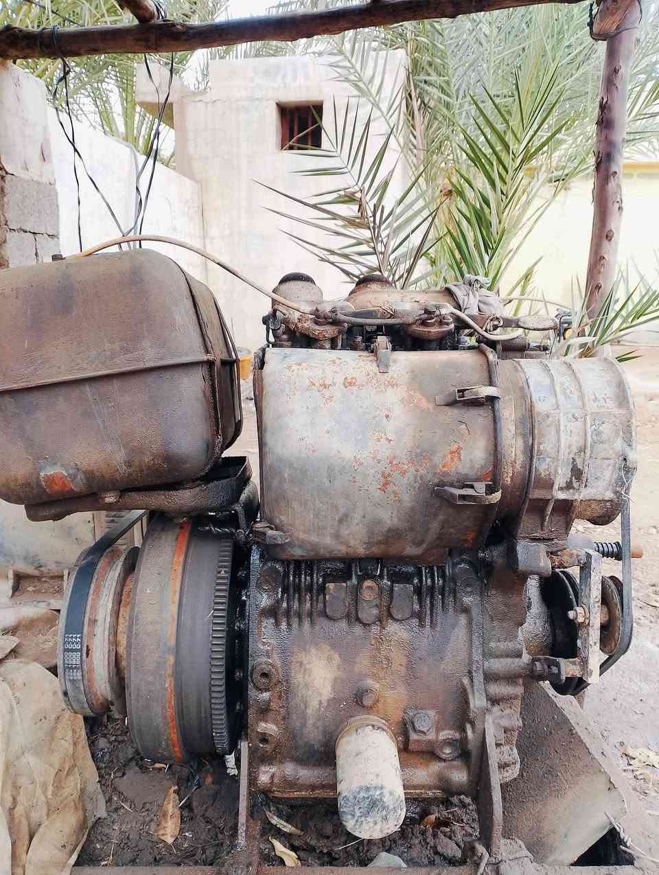 سلام عليكم مولد /خنزيرة /وعكوسة /نضيفات مكان ديالى للاستفسار ***********
