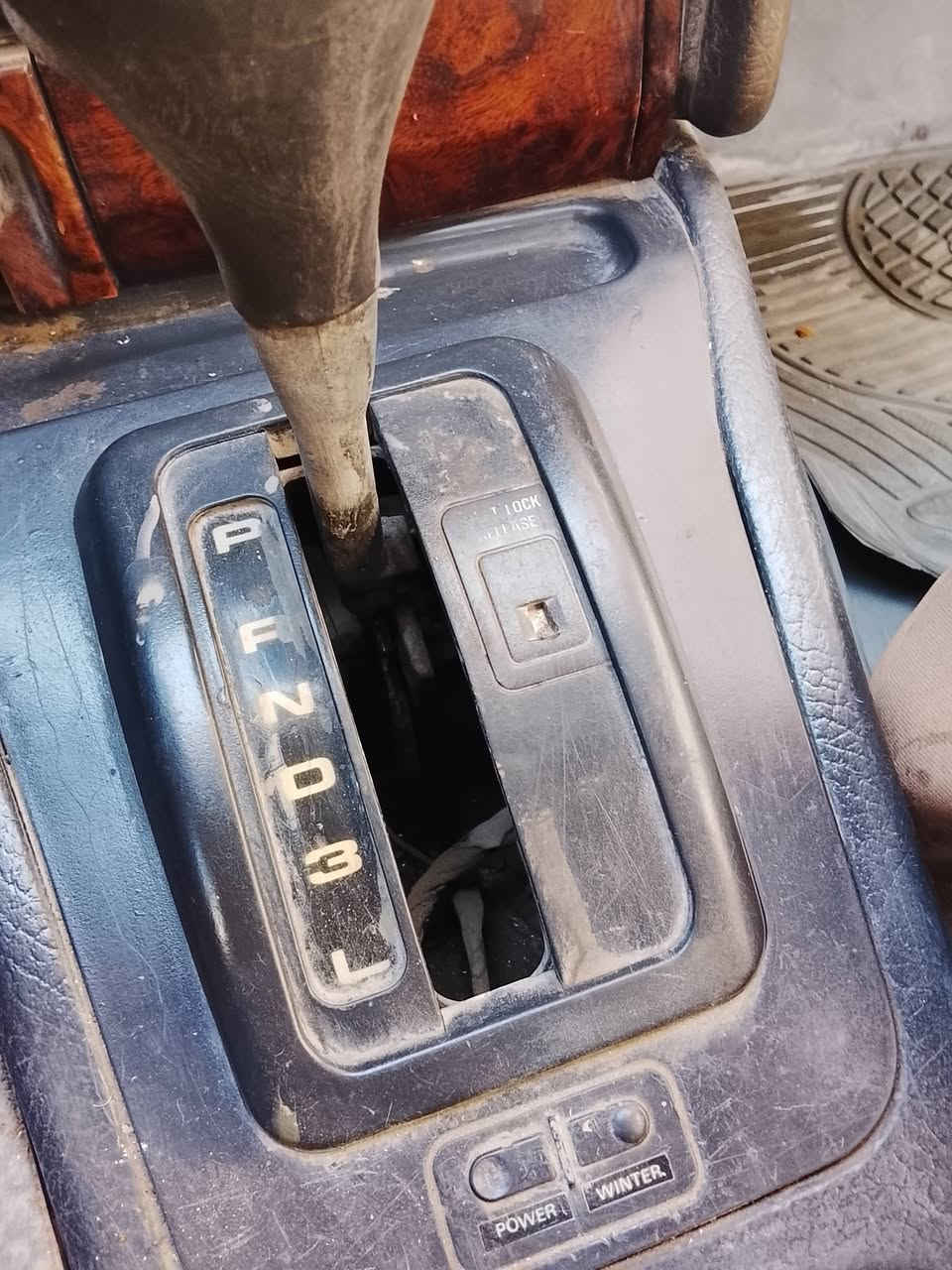 شيري 2010ب22
***********
***********
