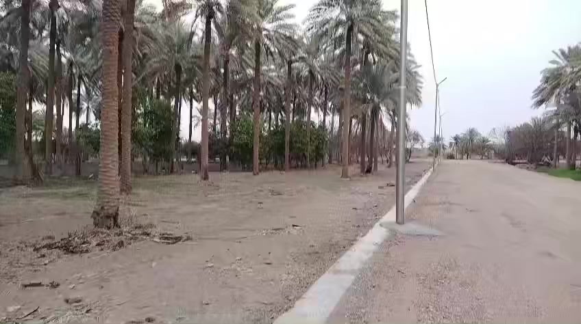 السلام عليكم توجد قطع اراضي المشتل قرب ديوان بيت حبش من الشارع الرئسي (التبليط) الى قرب نهر الفرات عرض شارع الرئسي 9 متر تختلف مساحه الارض حسب رغبه الزبون واصل جميع الخدمات من ماء وكهرباء وانارة للشارع سعر المتر 150 — 150 الف لاستفسار مكتب الفرات الاتصال ع الرقم ***********
