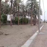 توجد قطع اراضي المشتل قرب ديوان بيت حبش من الشارع الرئسي (التبليط) الى...