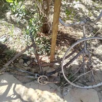 باسكلات • ٣ • مشخاب