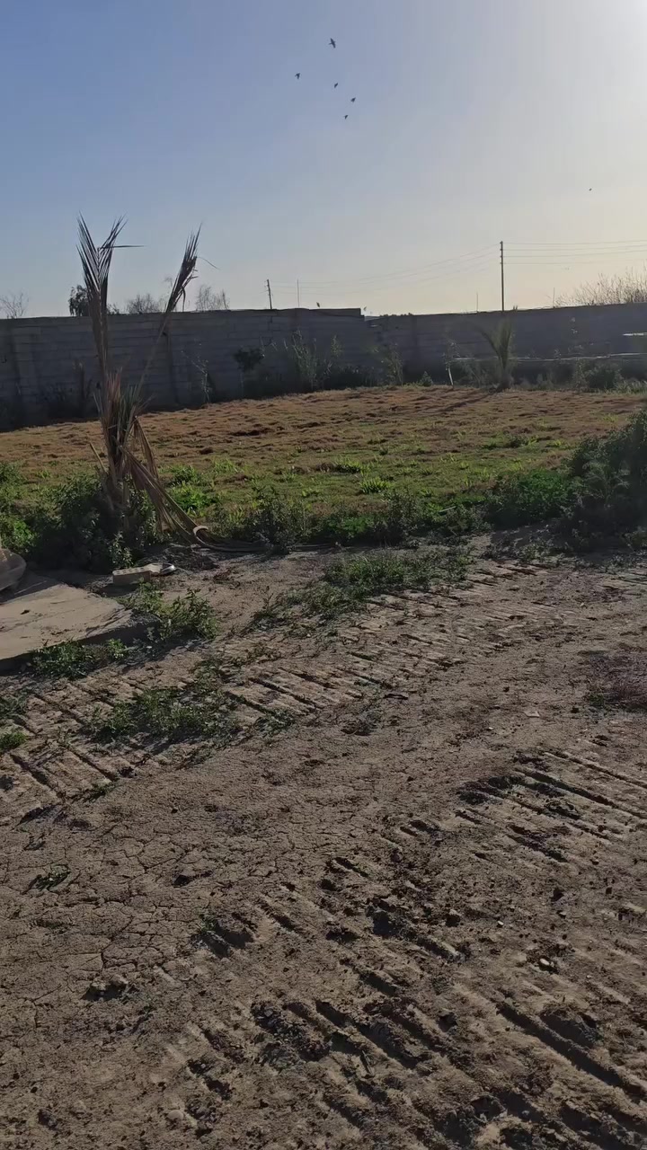 فرصه استثماريه
مزرعه للبيع سلمان باك صطيح 

المساحه دونم العرض ٢٥م والنزال ١٠٠ عقد زراعي ٣٥
تحتوي على بناء سندويج 
صاله وغرفة نوم ومطبخ وحمام غربي داخلي وحمام شرقي خارجي
مؤثثه بالكامل تخم قنفات 
سبالت عدد ٢ 
ثلاجه
كاونتر 
براد
مغسله
مسبح شبه كامل 
ماء من الشط غطاس 
كهرباء كامل 
ديكور داخلي بنكات وثريات 
تانكي ماء خارجي ماطور ماء
حدائق عدد اثنين أشجار وثيل من ديالى
السعر 75مليون وبيها مجال للشراي 
***********
