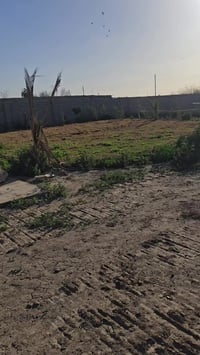 مزرعه • سلمان باك صطيح • ٢٥٠٠م