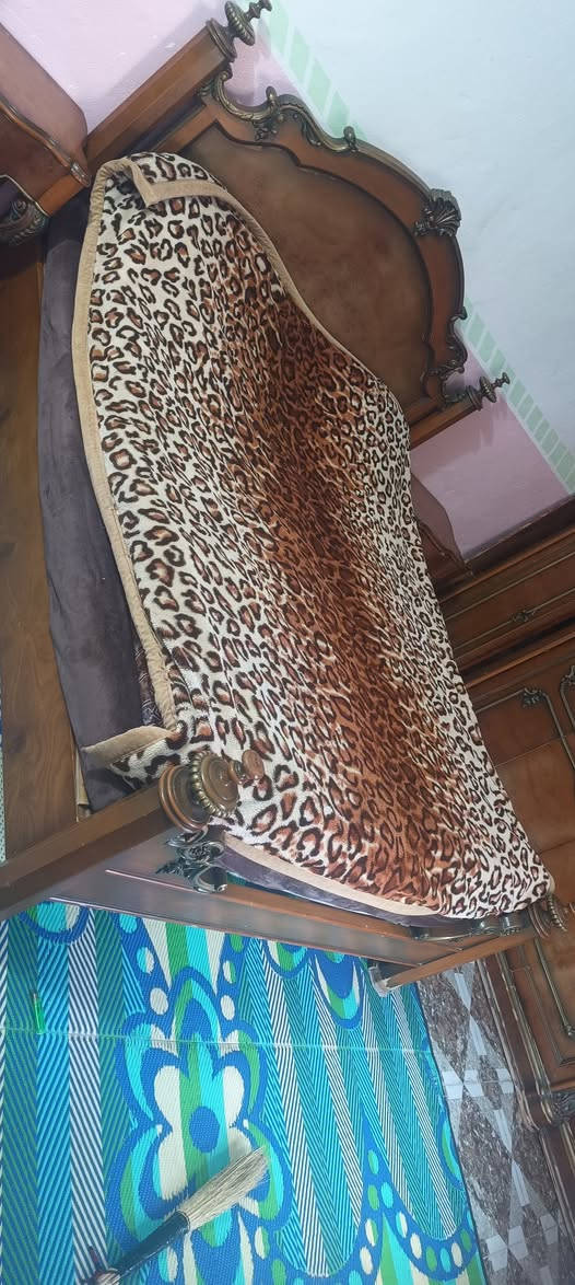 اخشاب مصري للبيع خشب ماله درجه اولى اولى


**إذا كنت صاحب هذا الإعلان وتريد حذفه لأي سبب، رجاءا أرسل رسالة إلى الدعم الفني**