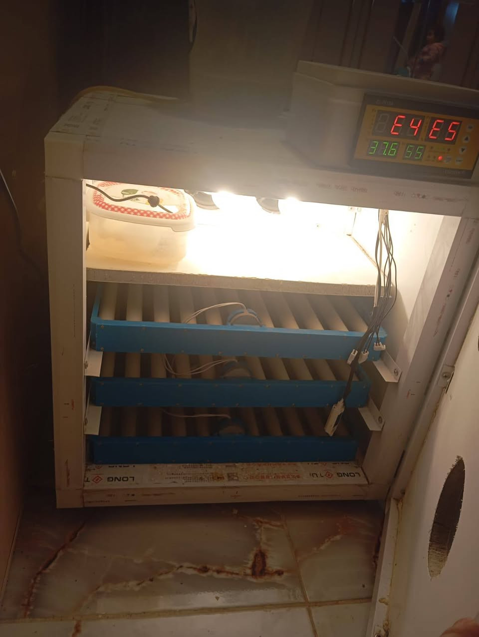 فقاسه المنيوم فول اوتوماتيك فول مواصفات نظام وجبات متحكمZL  دبل كارت الرطوبه فواحه وبيها حافظه ماء خارجيه حجم كبير تخلي بيها ماي تكفيك سبوع بيها  قلابات دحرجه عدد ٣ تأخذ كل انواع البيض بسعه ٢١٦ بيضه دجاج والفقاسه معايره بجهاز سويسري ونسبه انشاء الله حلوه فقاسه مستخدمه وجبتين تقريبا يعني بعدها جديده وبيها ماده عازله تتحمل انقطاع الكهرباء صارت عليه ب٤٠٠ اريدها ب٣٠٠ قفل 

وياها سلات مال تفقيس كبار عدد ٢
الشراي يتفضل ويدلل


**إذا كنت صاحب هذا الإعلان وتريد حذفه لأي سبب، رجاءا أرسل رسالة إلى الدعم الفني**
