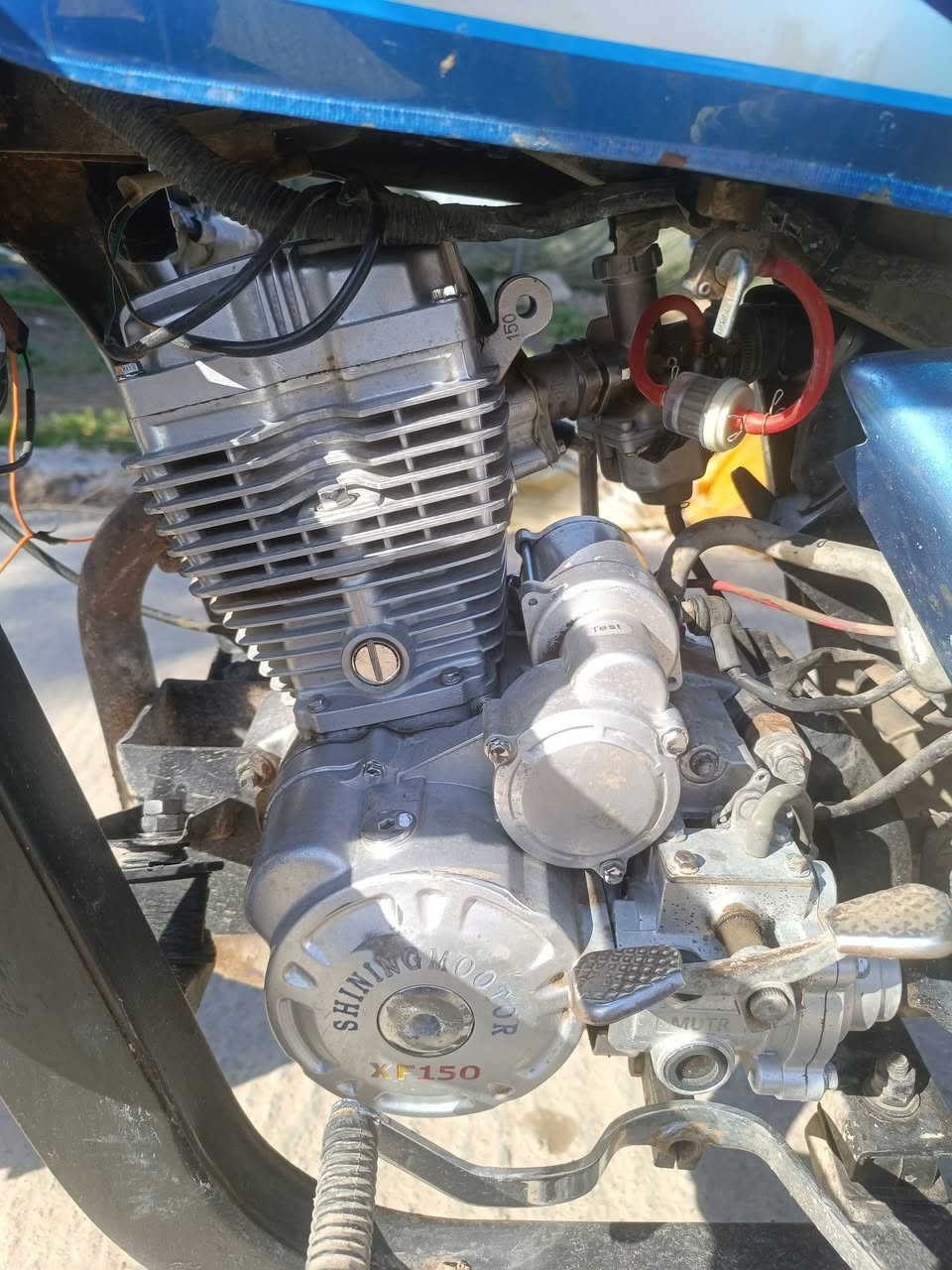 السلام عليكم ستوته للبيع موديل 2020 اوراق اصولي ونضاف   بدي جديد 2026 لتفاصيل أكثر خاص


**إذا كنت صاحب هذا الإعلان وتريد حذفه لأي سبب، رجاءا أرسل رسالة إلى الدعم الفني**