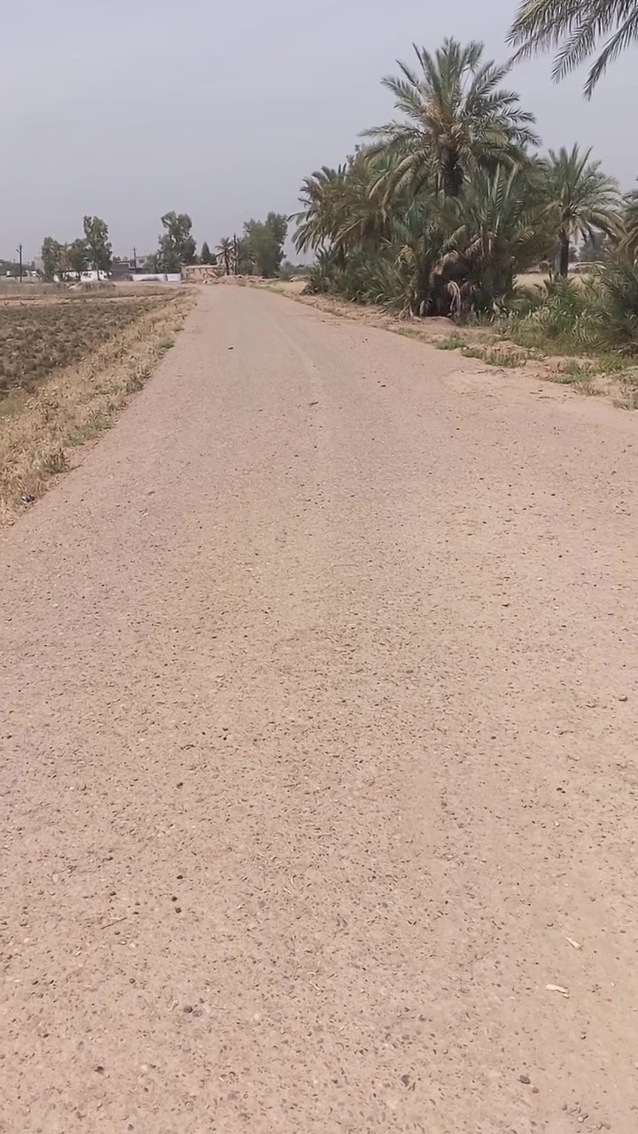 السلام عليكم جاء زراعي بهور الباشا 200 متر قرب فلكه هور الباشا للبيع السعر 15 وبيها مجال *********** هذا رقمي بو واتساب
