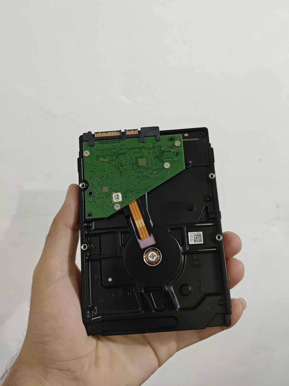 هارد Seagate BarraCuda 2T هارد الهيلث 100%

السعر : 75 الف

متوفر توصيل جميع المحافظات عمارة, ميسان


**إذا كنت صاحب هذا الإعلان وتريد حذفه لأي سبب، رجاءا أرسل رسالة إلى الدعم الفني**
