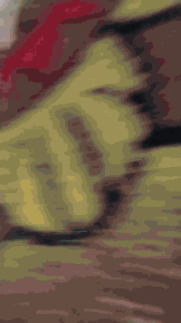 26😉***********🛫100
