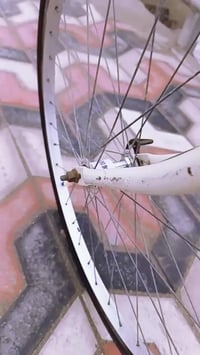 بيسكل • حجم ٢٦ • موديل ١٥