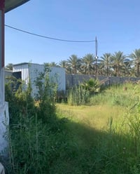 ربع دونم للبيع الواجه ١٤ عرض الشارع ١٤ متر خدمات كامله المساحه ٦٢٥ متر...