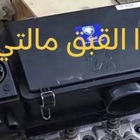 القباقة • جوانات • يم سيد الاصفر بالدورة