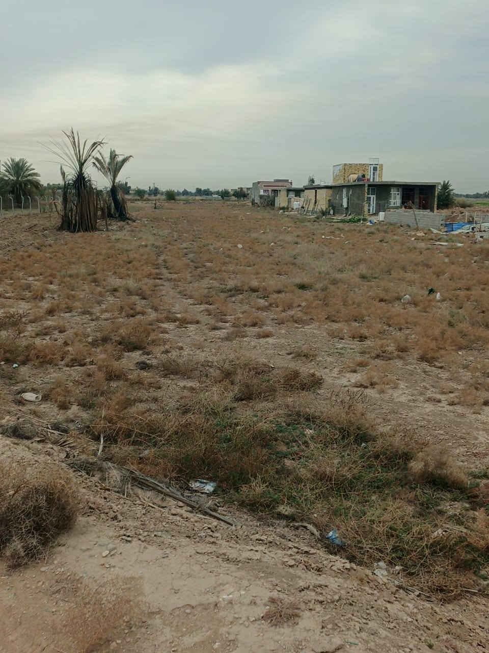 اسلام عليكم قطعه لبيع المساحه 2دونم
طابو زرعي سند 25 بسم شخص واحد
الواجهيه 25  
يتوفر كافه الخدمات  موقع قرب العلويه شريفه ع
تبعد عن المزار 5 دقايق    كلش حلوه
تصلح سكن مزرعه شتريده اصير  
اي استفسار اكثر اتصال ع الرقام  
***********
