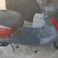 منغولي • ماكس • للبيع