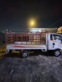 ‏سلام عليكم محجر بوري مال كيا حمل انثيا سبعة شقال للبيع وكالة بغداد سع...