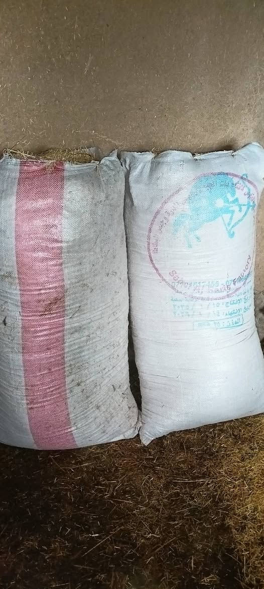 السلام عليكم 
يتوفر تبن للبيع 
تبن السنة مال كوام
0772 539 8454
