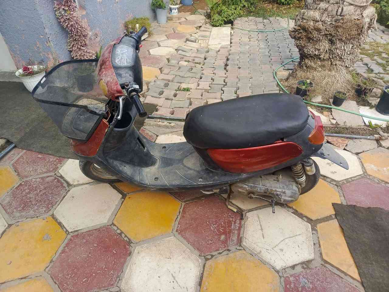 ام سله للبيع كامله
نقص بس برده مال سله.
للاستفسار .. ***********
