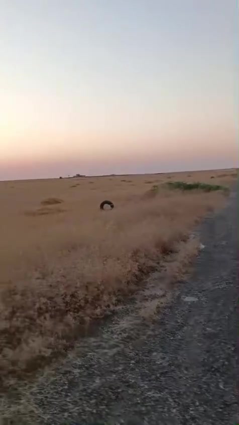 بسم الله الرحمن الرحيم
قطعة ارض تجاريه وسكنيه 
مطله على الشارع الرئيسي الزاب هيجل .. شارع الفوك منطقة الفياض 
المساحة ٧ دونم كلهن واجهة شارع  تقريبا الواجها ٣٥٠ متر 
الكاع بيها تنازل بسمي من اهلها اي ضمانات اني حاضر وتامر امر
السعر مناسب اتصل وتدلل 
***********
