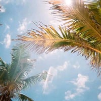 يتوفر فرص عمل للشباب والبنات فرص متعدده (مطاعم/غسل سيارات / مندوبين / ...