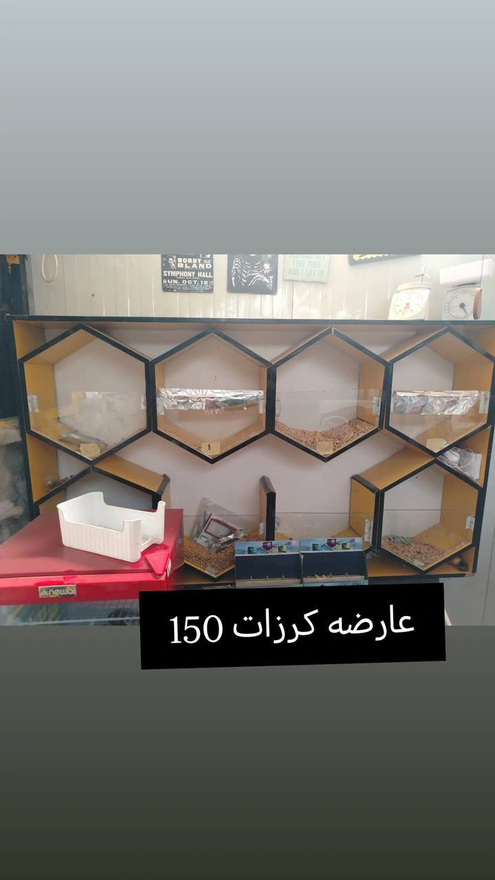 واتساب ***********
