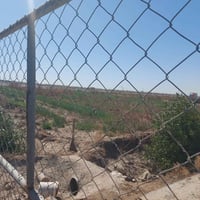 ١٥ دونم • طابو زراعي • ٥٠٠ نخلة