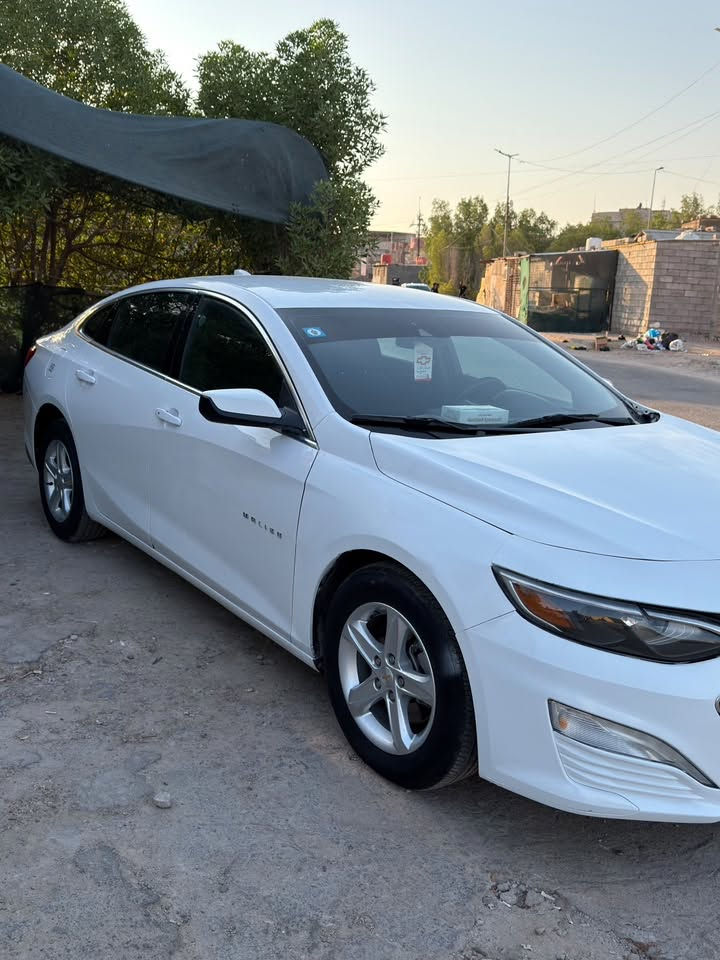 🚘 للبيع شفر ماليبو LT موديل 2024
🤍 اللون: أبيض
📍 الممشى: 50 ألف كم
📍 مكان السيارة: البصرة
📄 رقم بغداد (معوقين)
💰 السعر: 125 ورقة قابل للتفاوض بالمعقول

المواصفات:
• محرك 1.5 تيربو اقتصادي وعزمه ممتاز.
• شاشة كبيرة مع Apple CarPlay و Android Auto.
• تشغيل بصمة وستارت.
• تبريد دبل (Dual Zone).
• كرسي السايق كهربائي.
• كاميرا خلفية مع حساسات.
• جنوط وكالة.
• نسخة LT بدون فتحة سقف.

السيارة نظيفة جداً، استخدام شخصي، وما محتاجة أي مصروف، كلشي بيها شغال وجاهزة للاستخدام.

📸 مرفقة صور الحادث بكل شفافية.

📞 للتواصل واتساب ***********
