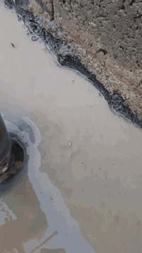 سلام وعليكم متوفر كور تثقيب سطح قياس ٢ نج / ٣ نج / ٤ نج / ٦ نج العنوان صلاح الدين الدجيل اي ستفسار تصال عله رقم  ***********
