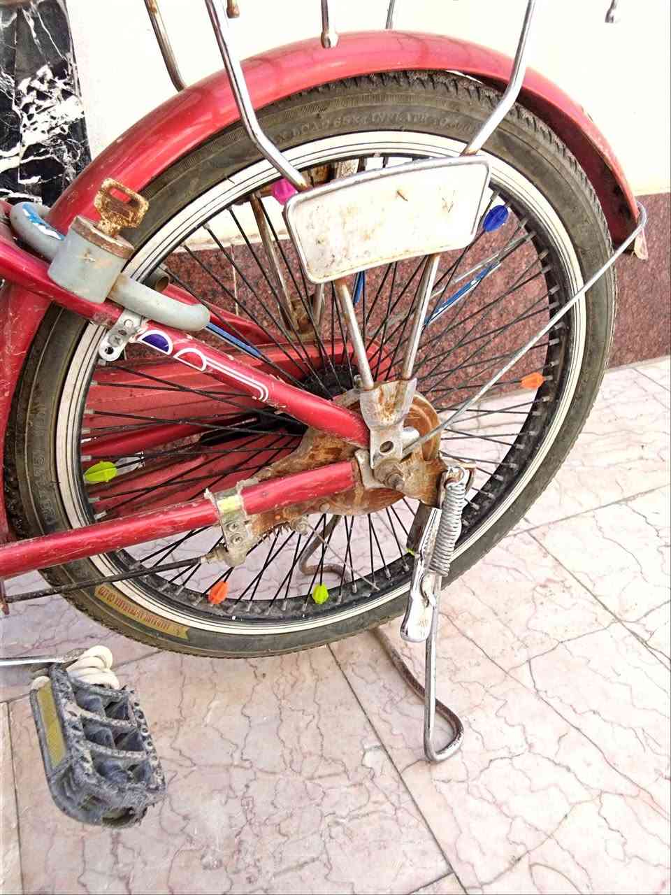 بايسكل للبيع بطه حجم 20 صيني سعره 90 حله ابو غرق


**إذا كنت صاحب هذا الإعلان وتريد حذفه لأي سبب، رجاءا أرسل رسالة إلى الدعم الفني**