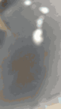 سلام عليكم  ستوتي البيع اوراق اصوليه موديل 2018
مكينه 2020
محافظة دوانيه…
سعر خاص
الرقم هوة ***********.
